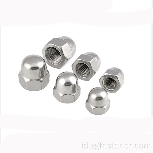 Din1587 kacang kubah baja stainless acorn kacang segi enam acorn